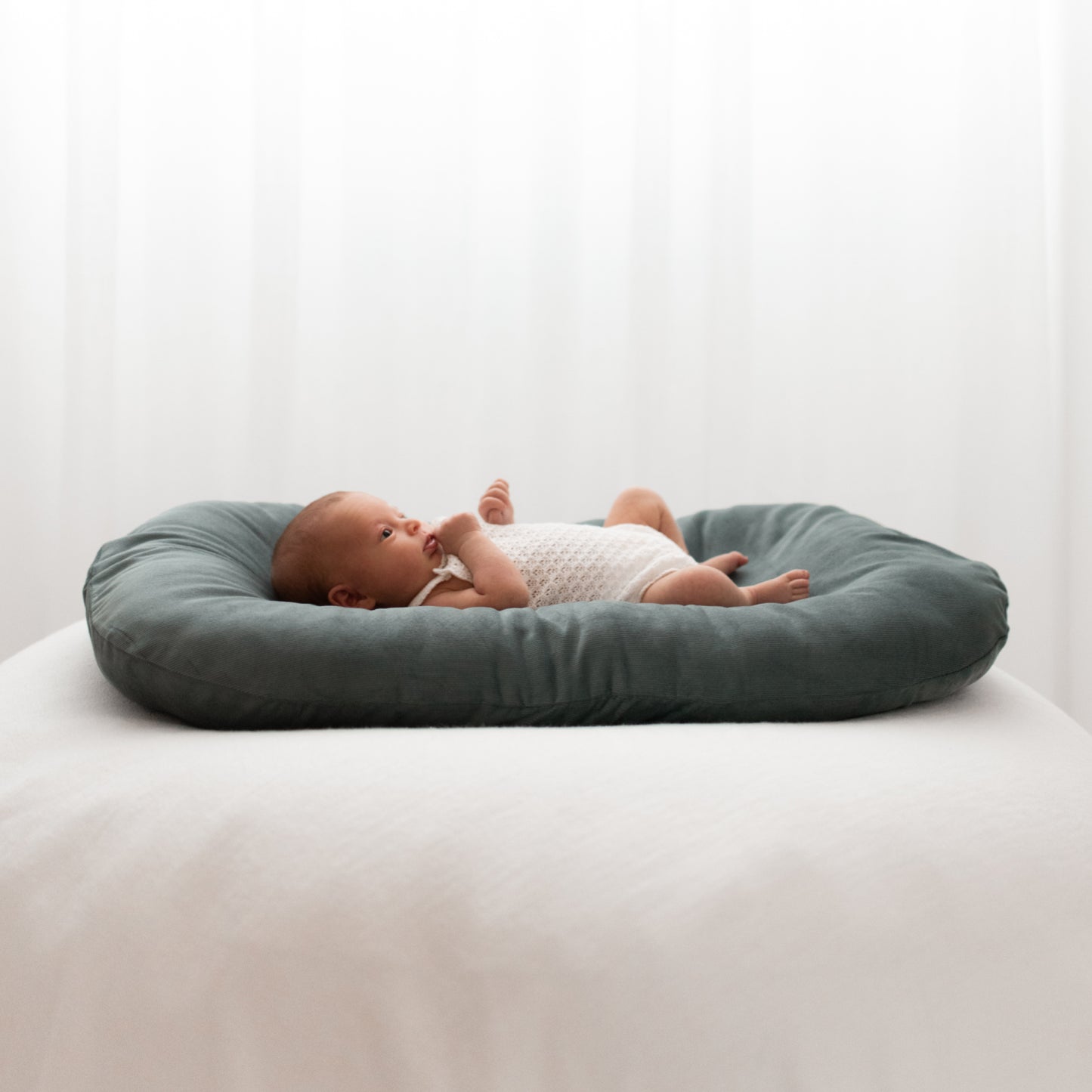 Upgraded Nurture Nest with Free Matching Cover