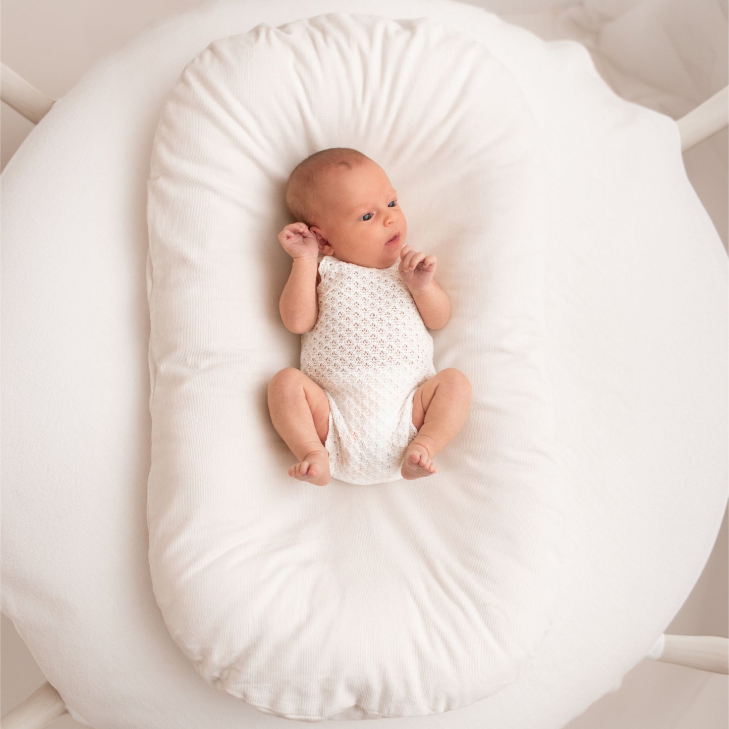 Upgraded Nurture Nest with Free Matching Cover